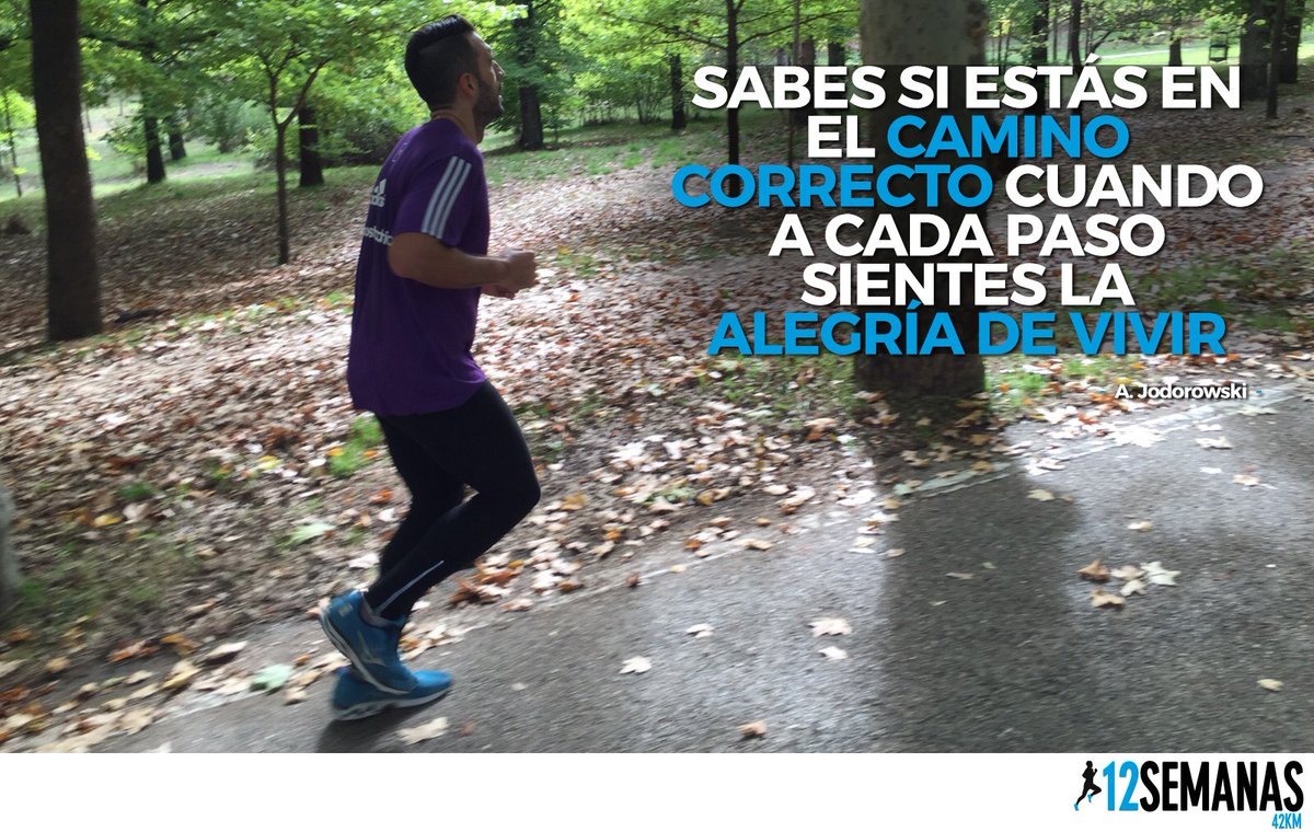 DoceSemanasRun's tweet photo. Menos de 18 días para el @maratonvalencia. Ya empiezan los nervios y las ganas van en aumento #42k #Run4AR #SoyTigre https://t.co/rlhoQZZeLX