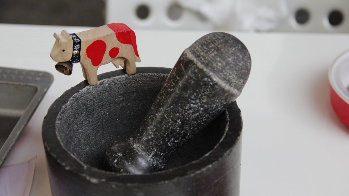 Swiss_Pavilion's tweet photo. Making chocolate is a hard work! @HappyLilly_ is discovering the tools for the job! #SwissPavilion #ChocoAtelier https://t.co/5KXhi0RVNG