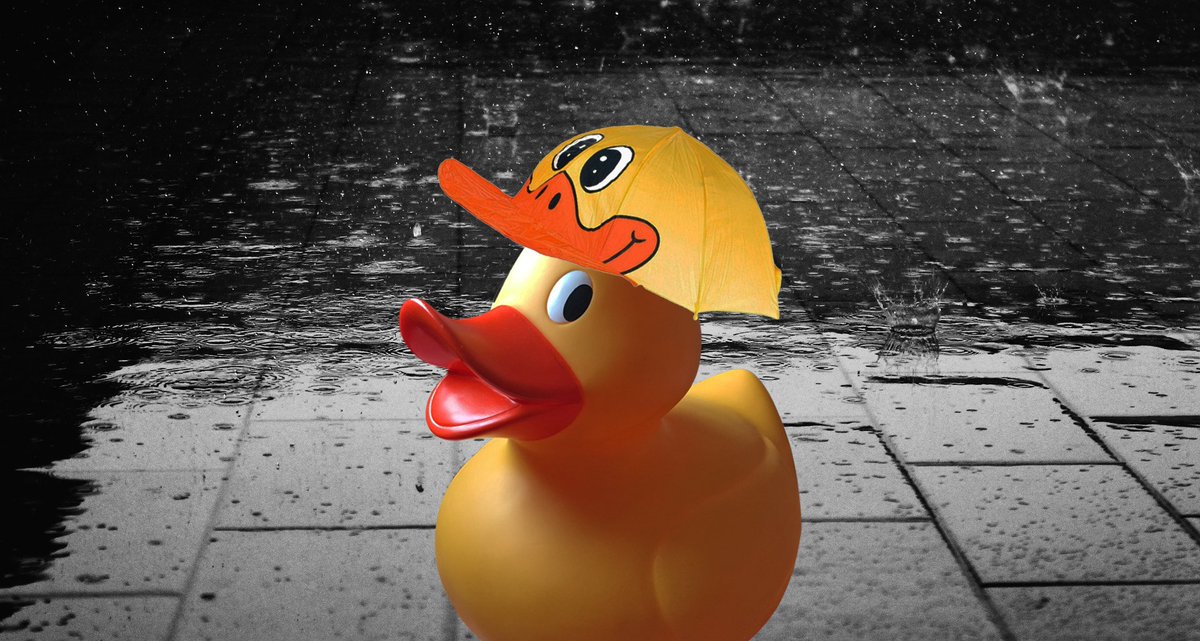 I’m singing in the rain, just singing in the rain #wetNorfolk