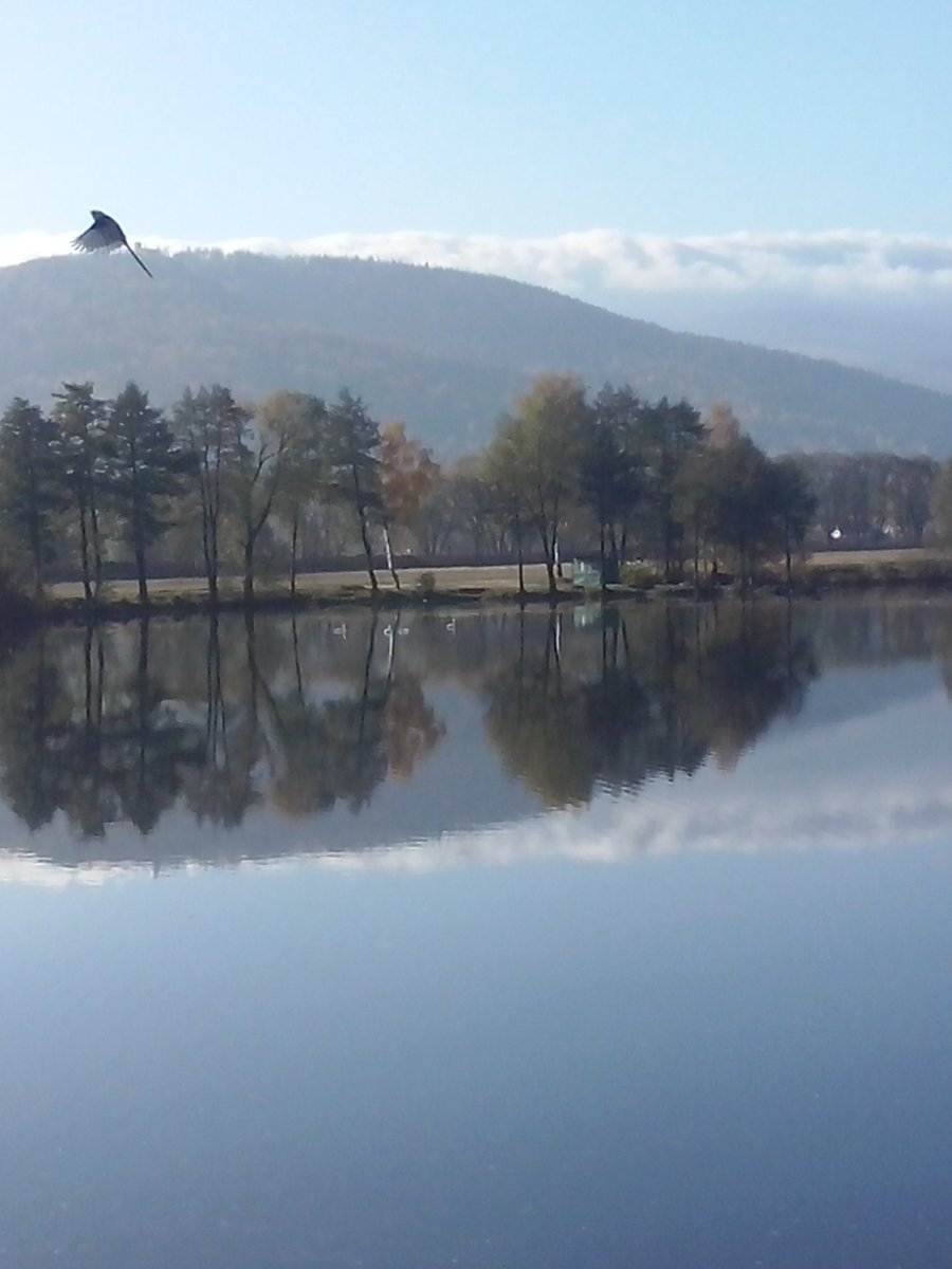 MartaSikora's tweet photo. Autumn is beautiful especially when sun shines:)#autumn#sunny#stroll#nature https://t.co/woVi97czes