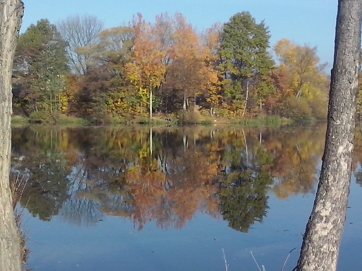 MartaSikora's tweet photo. Autumn is beautiful especially when sun shines:)#autumn#sunny#stroll#nature https://t.co/woVi97czes