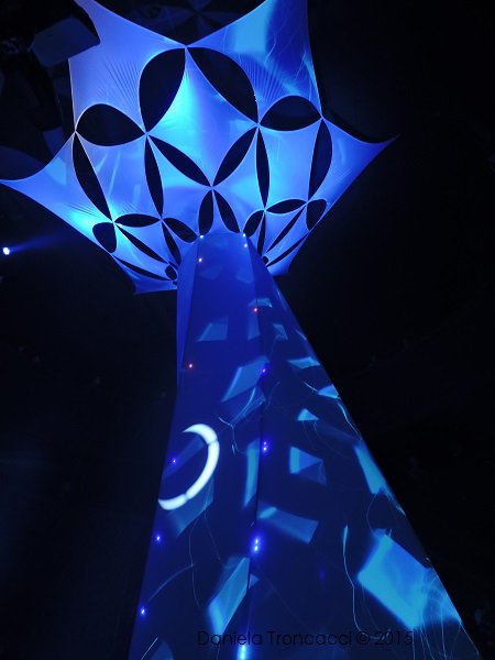 Daniela Troncacci tweet media