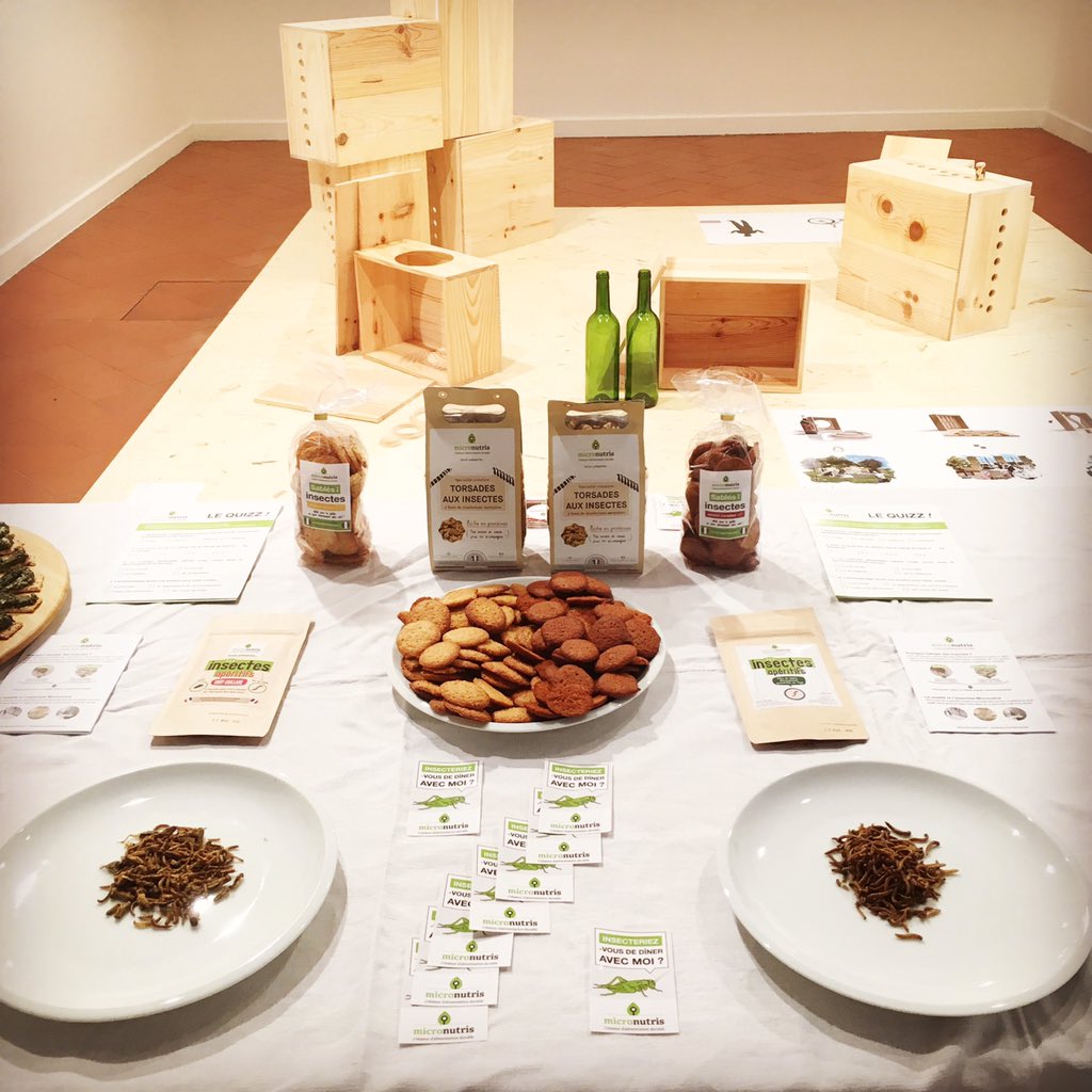 Micronutris's tweet photo. Nous vous attendons au #MercrediCOP21 @Expo2015Milano pour découvrir nos (super) #insectes 🇫🇷 ! @FranceExpo2015 https://t.co/IQ2pKgHkgi