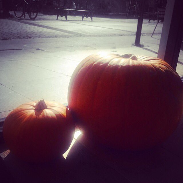 saloncalledhare's tweet image. #halloween #week #autumn #winter #spooky #pumpkin #exeter #beauty #asaloncalledhare @Exeter_Hour #thequayexeter