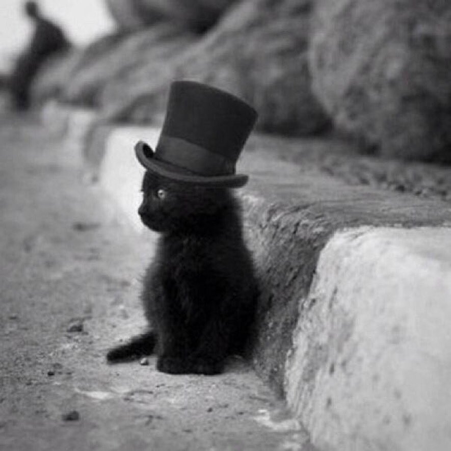 DaizyApocalypse's tweet photo. @LycaonSatoshi LOOK BABY!!! https://t.co/ei49amiWL8