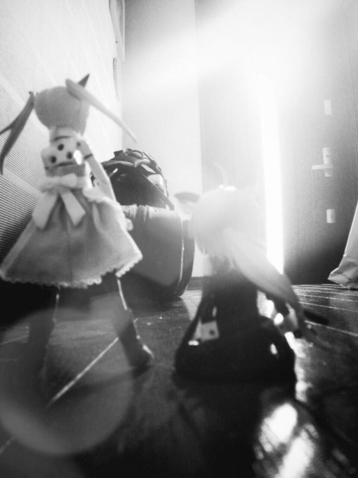 我が家の神姫写真をモノクロにしていくとかっこいいのtwitterイラスト検索結果