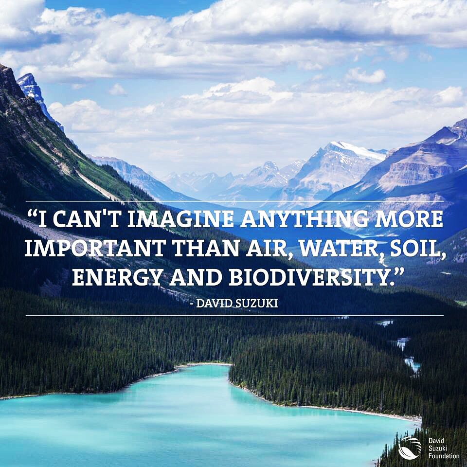 ChHumans's tweet photo. @DavidSuzuki a living legend. #StayCreative #StayHuman #StayWeird #CreativeHumans #Ch. https://t.co/Ndfd1FJXEZ
