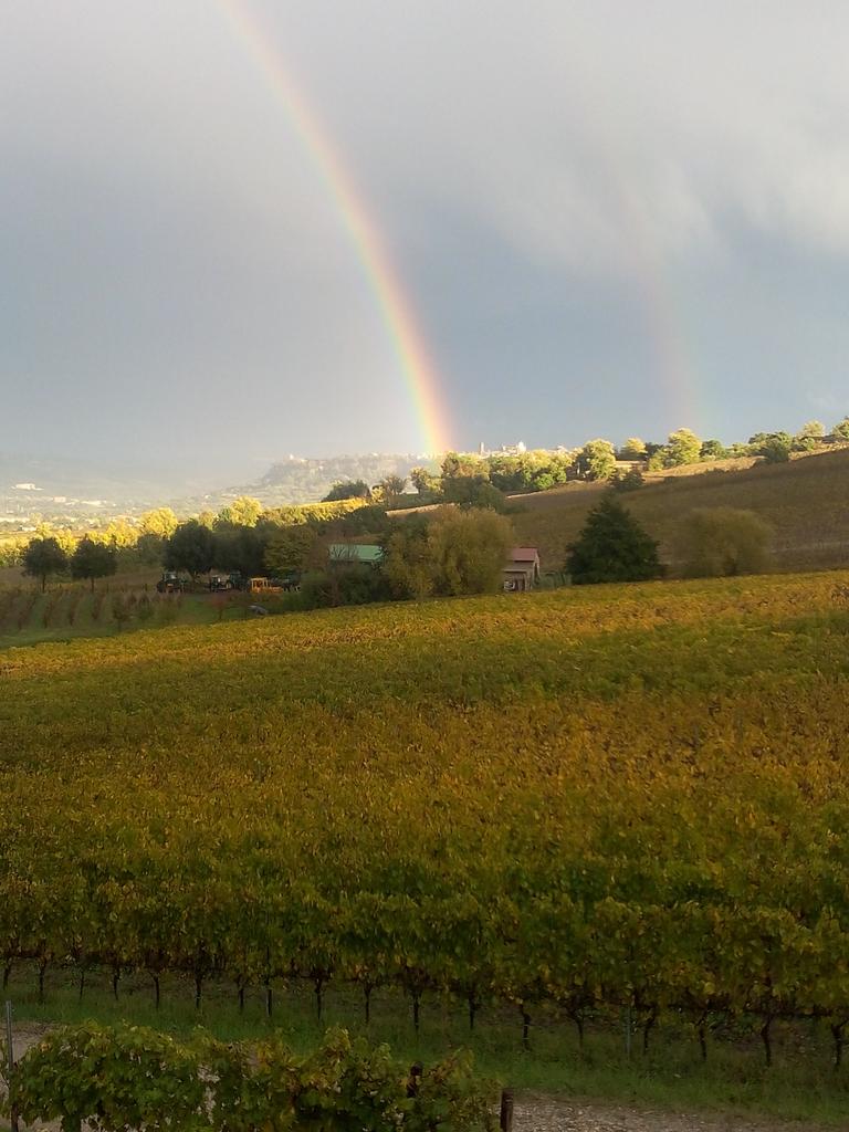 winePalazzone's tweet photo. Palazzone con vista arcobaleno https://t.co/O4QWJ5DLTe
