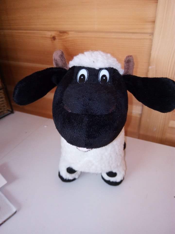 MoorViewAlpacas's tweet image. #TheApprentice how could this lose oh yes we have merchandise too!! @PHPCornwall #lollypop