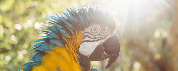 ConnectInLA's tweet image. Events | Orange County Weekend Events Roundup 11.5.15 vytm.in/7GlMdw #LAlocal