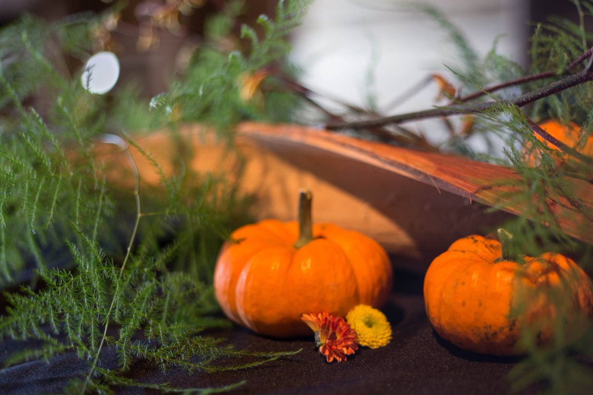 SimplyCater's tweet photo. Fall Festive Touches Make the Occasion! https://t.co/HdTlDdvabK