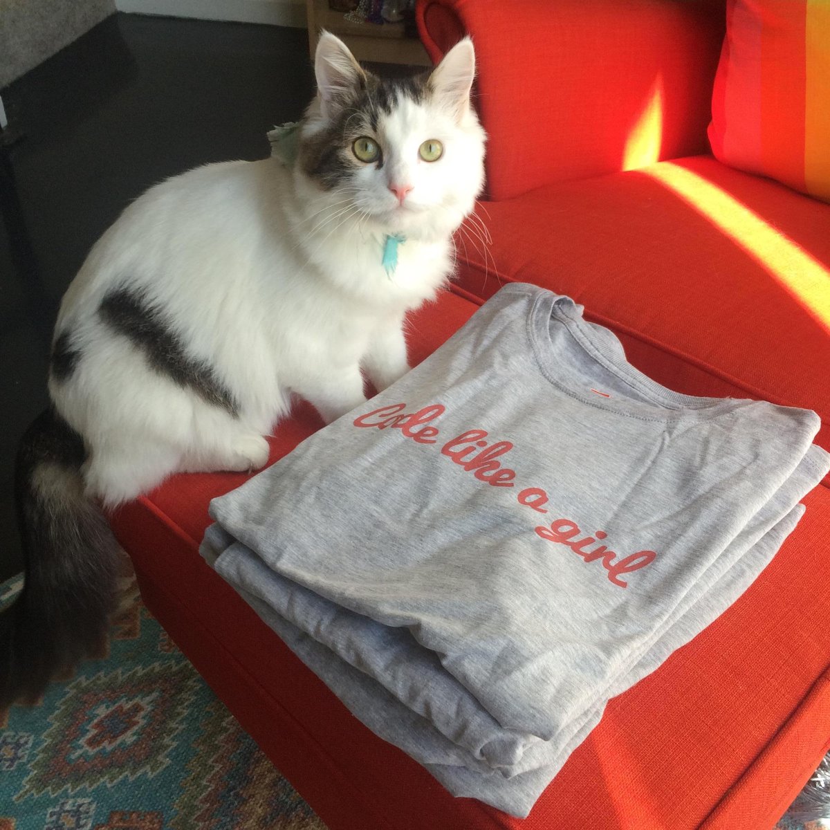 gdisjc's tweet image. We got the shirts for our anniversary party tonight! 🎉 🐱 #codeLikeAGirl #codingcats