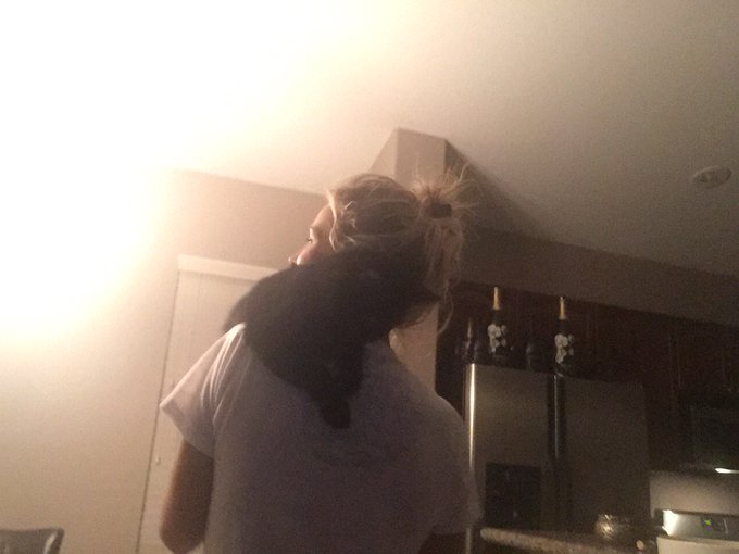 Last night coco met jobson. She was not having it. She's like "I'll just stay right here" 😽🍷🐶 https://t<a href="/tag/love"class="tags"><span>#love</span></a><a href="/tag/model"class="tags"><span>#model</span></a><a href="/tag/popularpage"class="tags"><span>#popularpage</span></a><a href="/tag/instagram"class="tags"><span>#instagram</span></a><a href="/tag/michael"class="tags"><span>#michael</span></a>