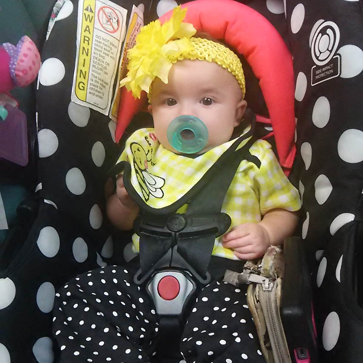 cupidpoetry's tweet photo. My Granddaughter #DestinyFaith ##Beautiful @cupidpoetry https://t.co/L3j5D8XPW7