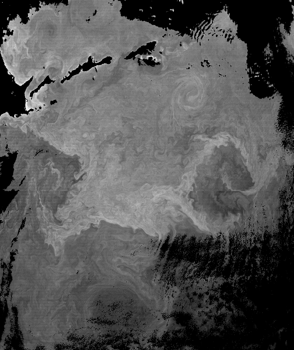 NASAOcean's tweet photo. Stunning patterns in #phytoplankton chlorophyll east of #Japan today in this unmapped black &amp; white Aqua MODIS image https://t.co/OySozetx3u