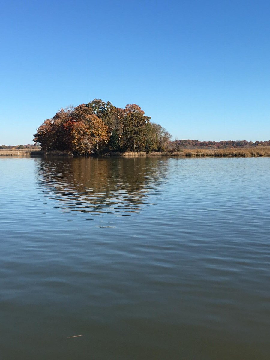 JenniferYoungb7's tweet photo. What a beautiful day to canoe with some awesome 8th graders!@CockeysvilleMS @BCPSOutdoorSci https://t.co/Dc5pSCnhgR