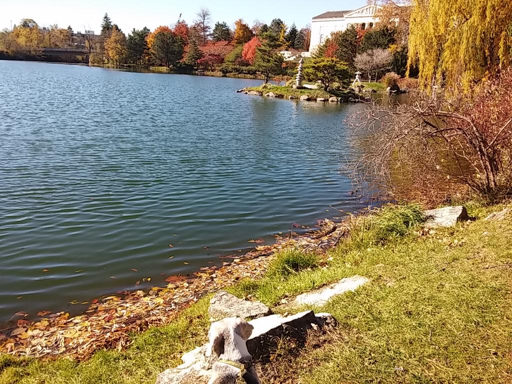 eggsquared's tweet photo. world according to #cxcc on a #november #autumn day walk in #buffalo #grateful https://t.co/fqHJPPkbDE
