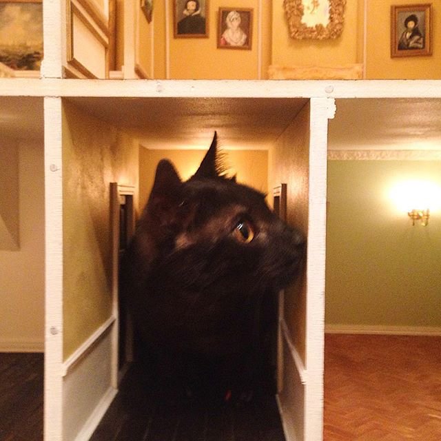 Delaney_Layne's tweet photo. So cute : @miniarthouse
#dollhouse https://t.co/ajQf5CNHta