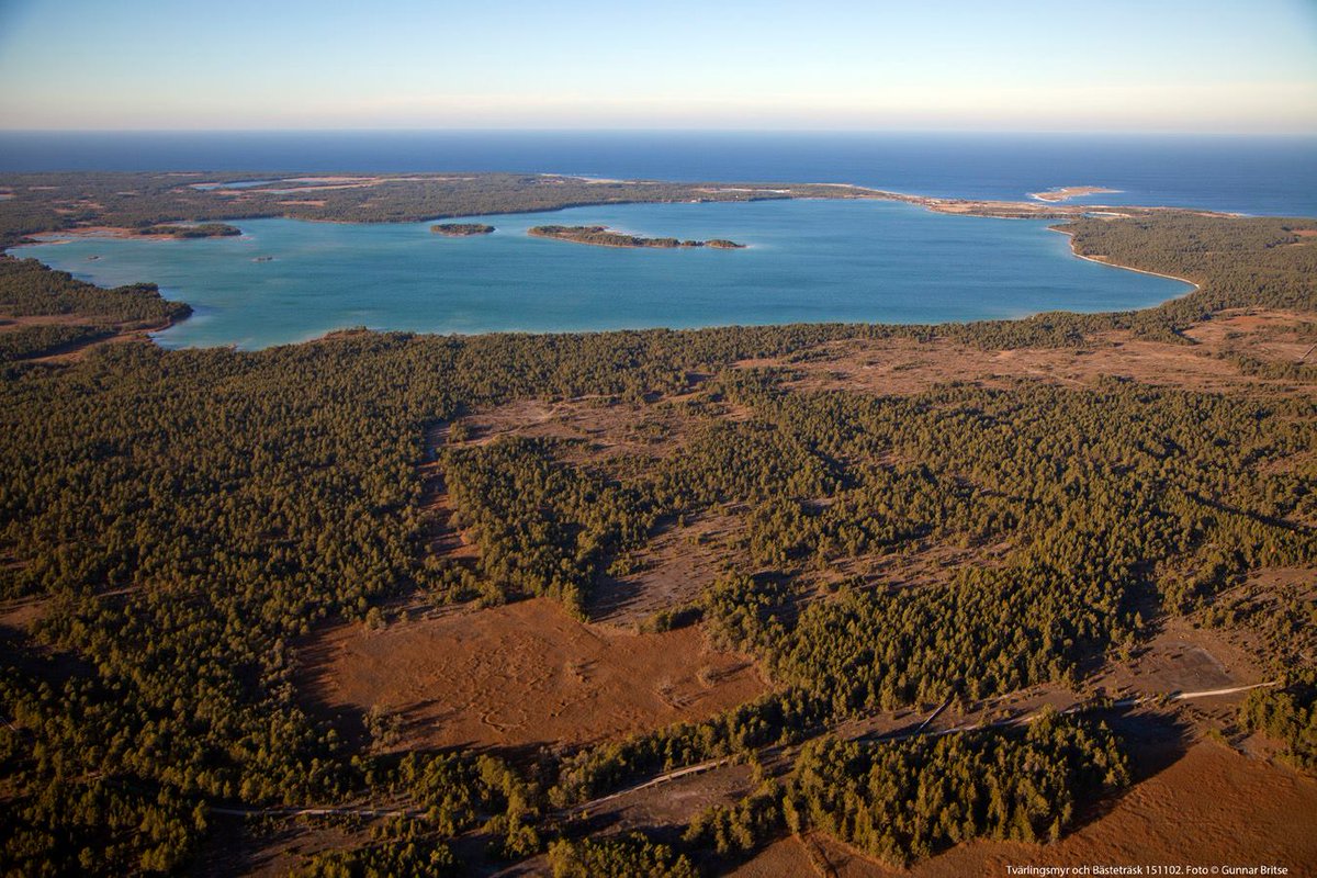 mseid's tweet photo. #bästeträsk - världsunik och oersättlig. Foto: Gunnar Britse. #ojnareskogen #gotland #swgreen #fastmarkrentvatten https://t.co/t8eCxGM5xo