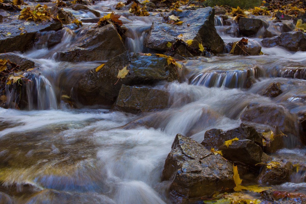 JeffDickie's tweet photo. Explore the waterfall capital of the world right here in Hamilton, Ontario.
Washboard and Sherman falls https://t.co/O3l2rBDUAH