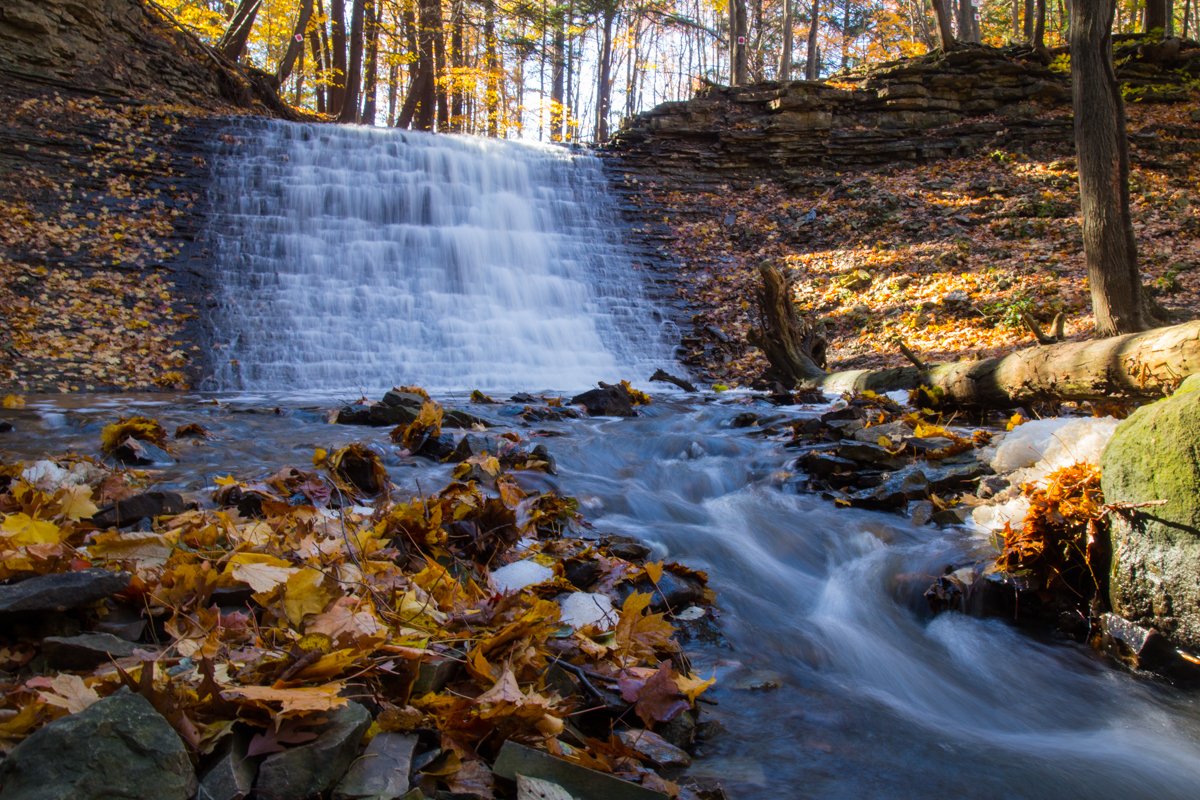 JeffDickie's tweet photo. Explore the waterfall capital of the world right here in Hamilton, Ontario.
Washboard and Sherman falls https://t.co/O3l2rBDUAH