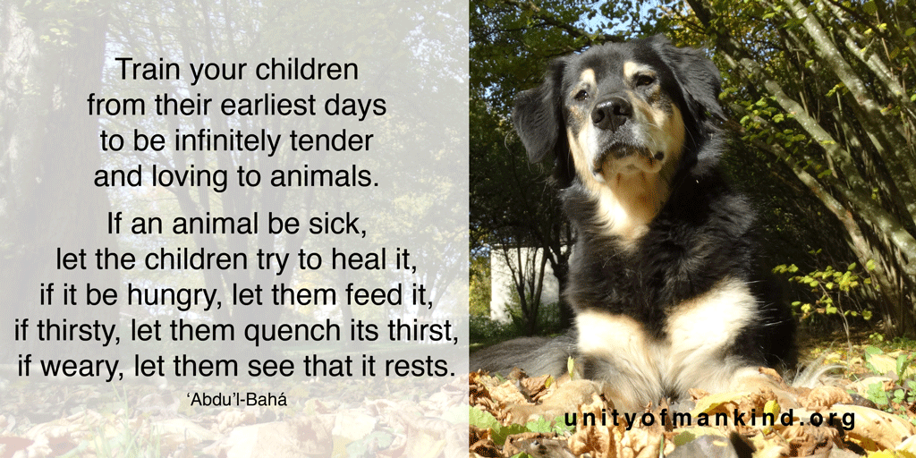 Unity_Einheit's tweet image. ...be infinitely tender and loving to animals... #bahai #abdulbaha #unityofmankind