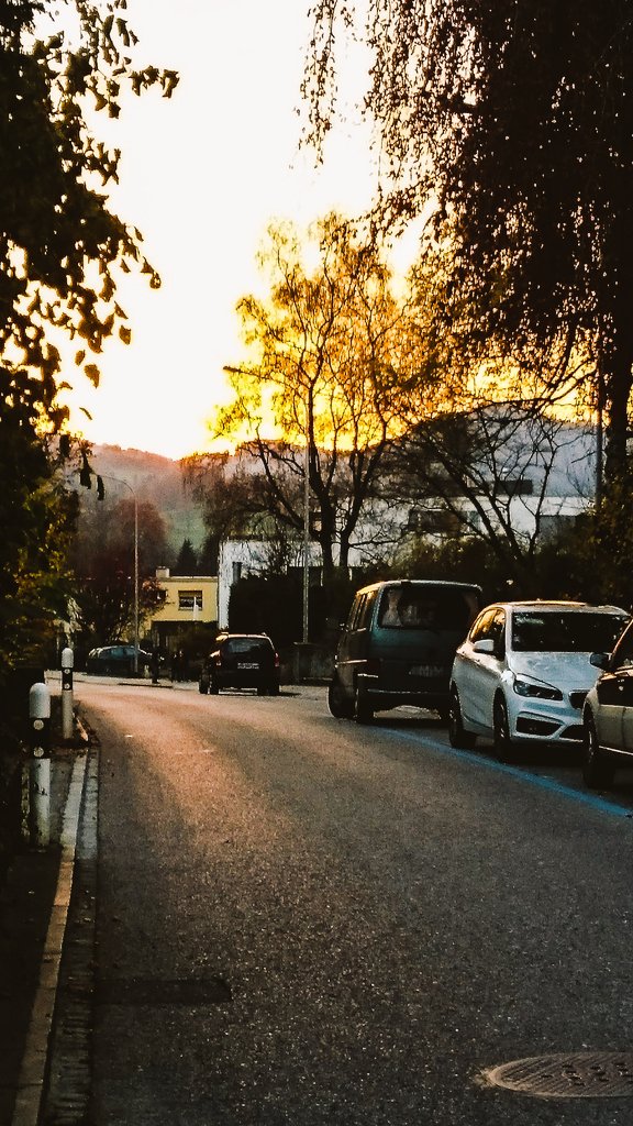 tonikindle's tweet photo. #abendstimmung in meiner #Strasse #meinquartier #sanktgallen - #Bruggen #sunsetblvd #autumn #fotoemotionentk #today https://t.co/PzPLw9JkwY