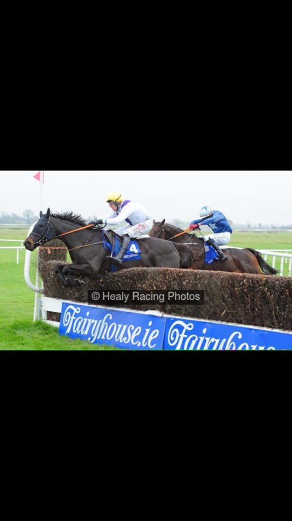 nolan_racing's tweet photo. Well done to Solita who won impressively on her chasing debut @Fairyhouse today @Racing_Pics @AtTheRaces @GoRacing https://t.co/FC6VB22Qhp