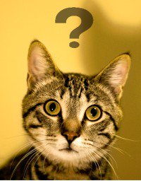 FundSponge's tweet image. The Melissa and Doug Toys link is broken. Thanks for letting us know! We're working on it!