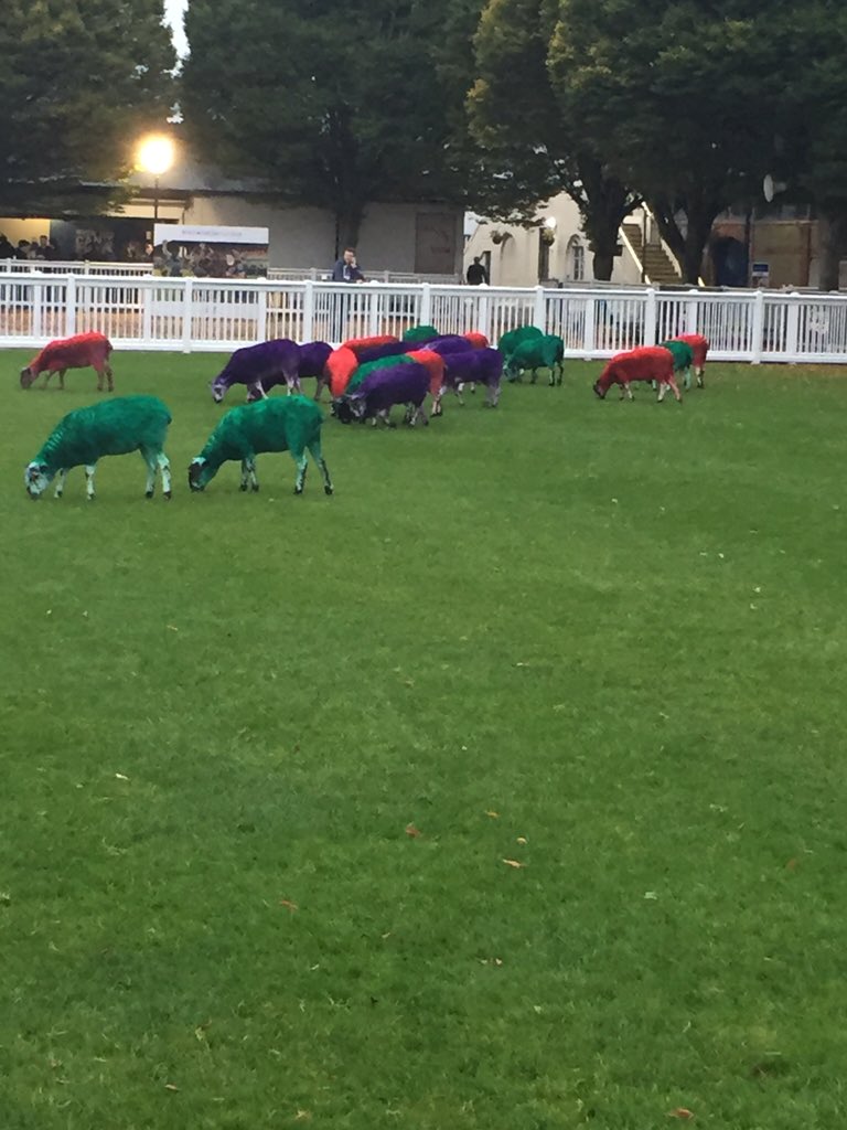 AderoMahia's tweet photo. #websummit themed sheep. #dublin @Poa_Post #PoaPostit https://t.co/ttROw0Nxbw