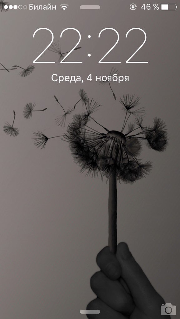 OlgaBoyko_'s tweet photo. И пусть все сбудется 🙏 https://t.co/dJACbBP2xt
