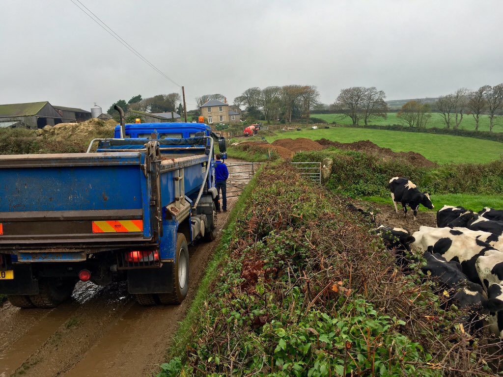 CIBLELLO's tweet photo. Hmm troubles today with the locals 😂. #cows #farmdeliveries #4w #cornwalltrucks #ciblello #drift @robspence https://t.co/ZQbKCUb59t