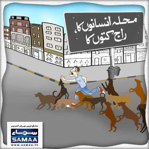 tabhashzaineb's tweet photo. #PMLNLOOTER #PMLN #KhoonLeague #jhootaypmln #InjusticeByPMLN #LockUpSharifBro #ModelTownNotForgotten https://t.co/3ERC11DXCE