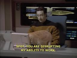 sh4cats's tweet photo. How #cats imagine the #future. https://t.co/rQDlkdSdQ8