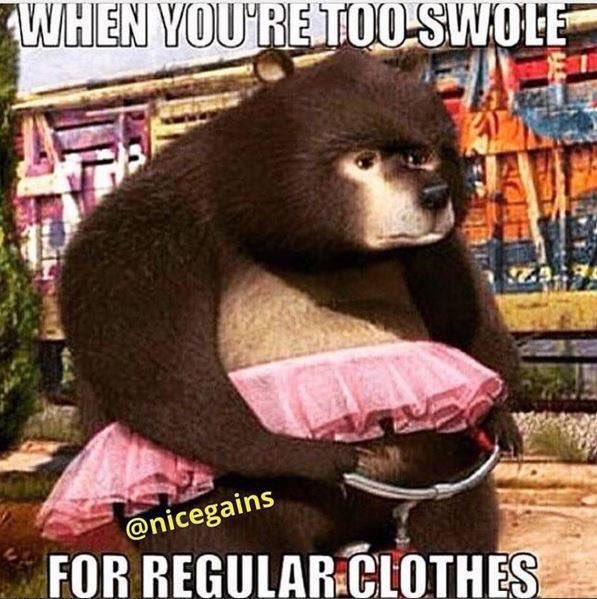 SwoleGeneration's tweet photo. Story of my life😒 #SwoleGeneration https://t.co/kD8Nb2n83f