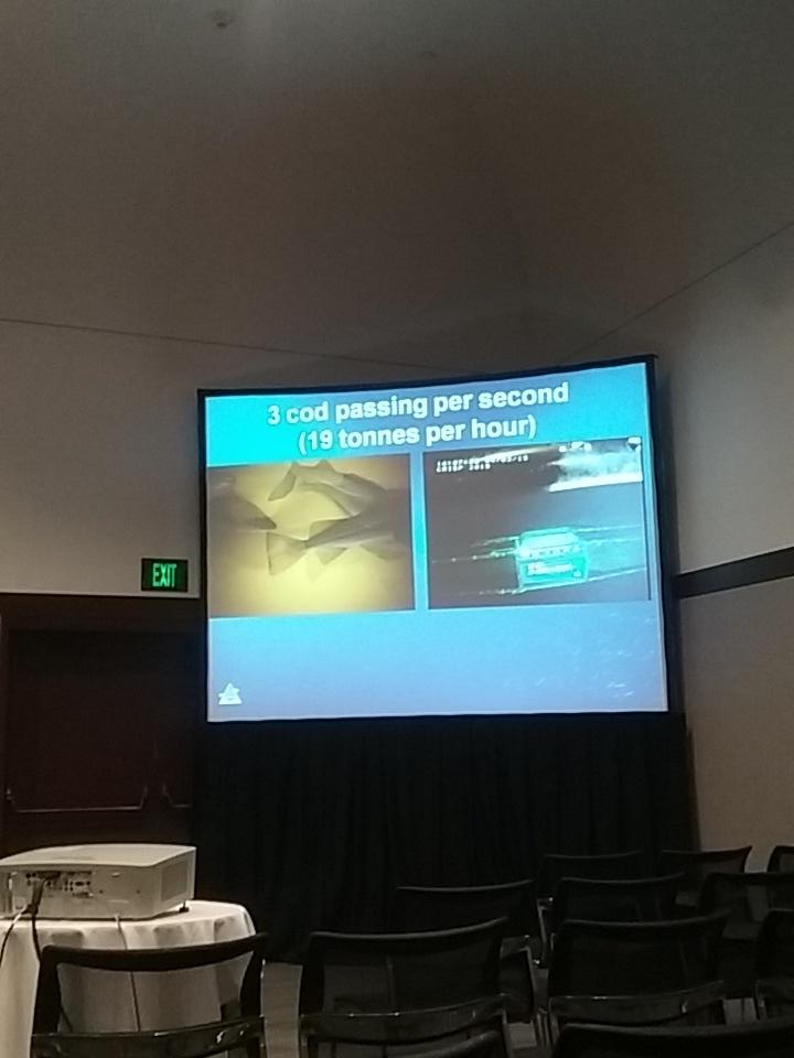 JanneHaugen's tweet photo. Cool videos of cod with the Deep Vision technology. Shale Rosen from @Havforskningen explaines #TSW2015 https://t.co/1LETsUKePq