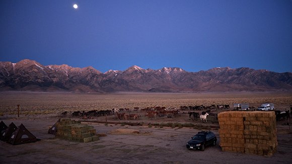 Onehundredmules's tweet photo. The view from the hay bales. #100Mules screening tomorrow 8pm @VidiotsVideoLA More info. https://t.co/MK2nKp8qo5 https://t.co/5aQ2A6z5Xh