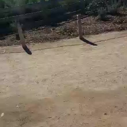EnlightenLaura's tweet photo. |REPLAY| Hanging at the beach #katch #Periscope https://t.co/5oclpmb0u3 https://t.co/kmrTAj9w30