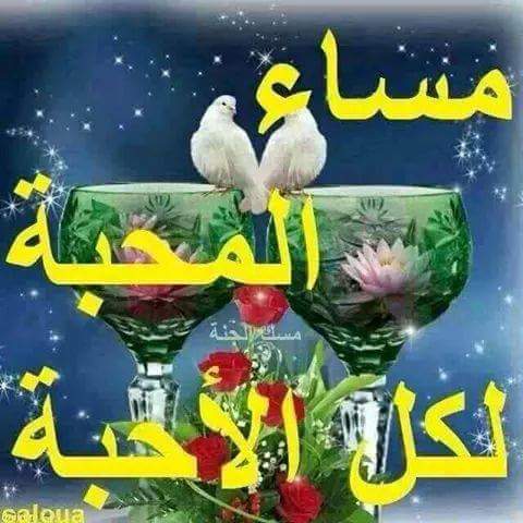 ابو بشار    _اليمن _ (@aomernpel) on Twitter photo 