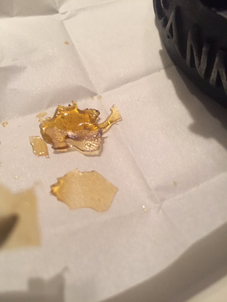 VicVndor's tweet photo. Bless up #Terp #Terps #Terpy straight #fire 🍊🍪 https://t.co/ytGYqwlExb