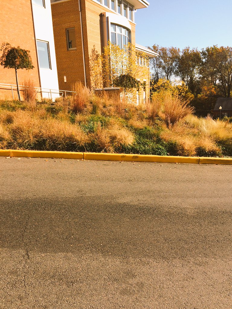 InspireQuiet's tweet image. It's a beautiful day in the neighborhood #gradstudent #fallinDC #MrRogersNeigborhood