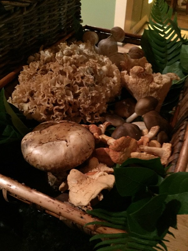 JamesBeardPubMk's tweet photo. Two nights left for @HigginsPDX legendary Mushroom Dinners, tonight and tomorrow. Call 503.222.9070 to reserve. https://t.co/h6zWZ6o7Sj