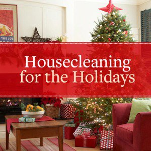 Getting Ready for the Holiday Season! cleanconscience.com/blog/2015/11/g…