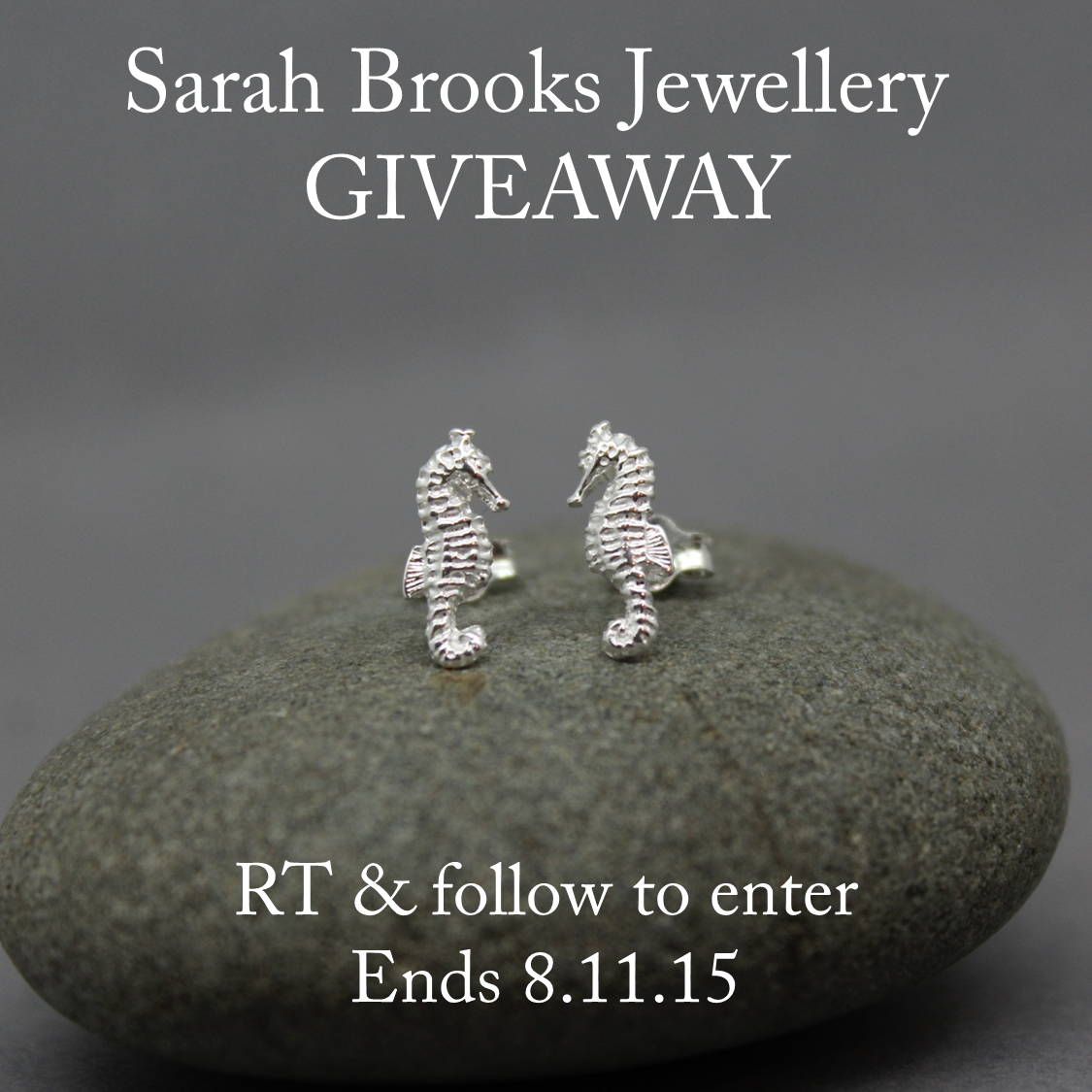 SarahBJewellery's tweet photo. #Giveaway sterling silver seahorse studs worth £25 (currently on offer for £19) https://t.co/jq2tdsuNWZ RT&amp;Follow Sx https://t.co/aIvF3V88OJ