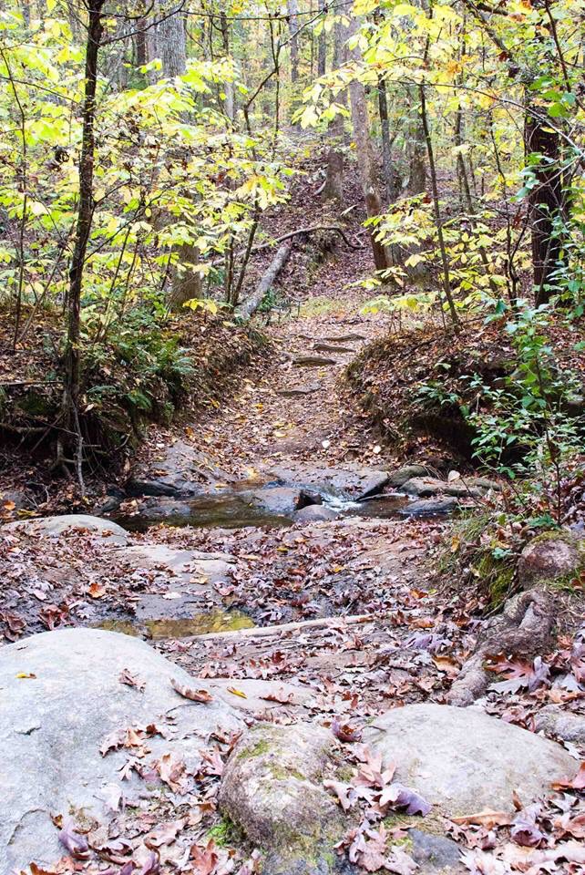 BaxterTrails's tweet photo. 3 days until #BaxterFallFestival... Come see us Saturday to learn more and get a trail map! Find us on FB too! https://t.co/P5ozGVR2FG
