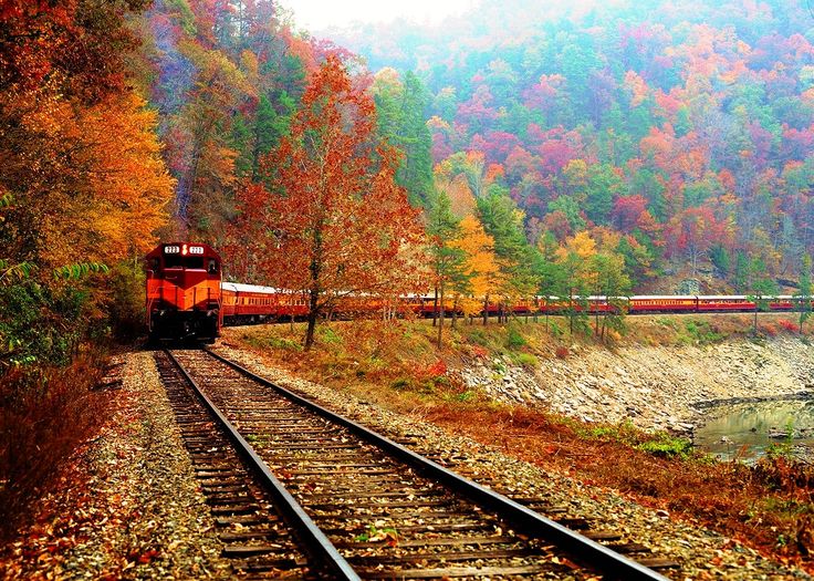 AutoTitlePros's tweet image. I love Fall in North Carolina! Look at this shot from The Smokey Mountains
