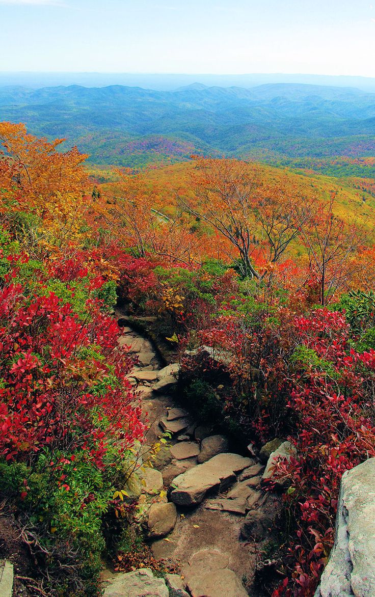 AutoTitlePros's tweet image. Fall colors are so pretty in #NC - View from Blue Ridge Mountains