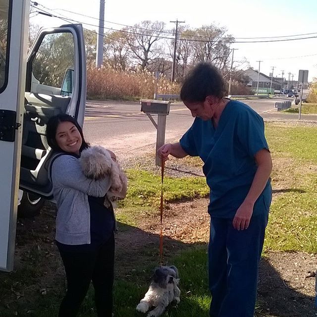 sthubertsanimal's tweet image. #TheZephyr is in South Jersey today, bringing dogs from our sister shelters into our care!