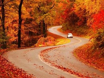 AutoTitlePros's tweet image. North Carolina is so beautiful in the autumn. Here is a shot from Asheville.