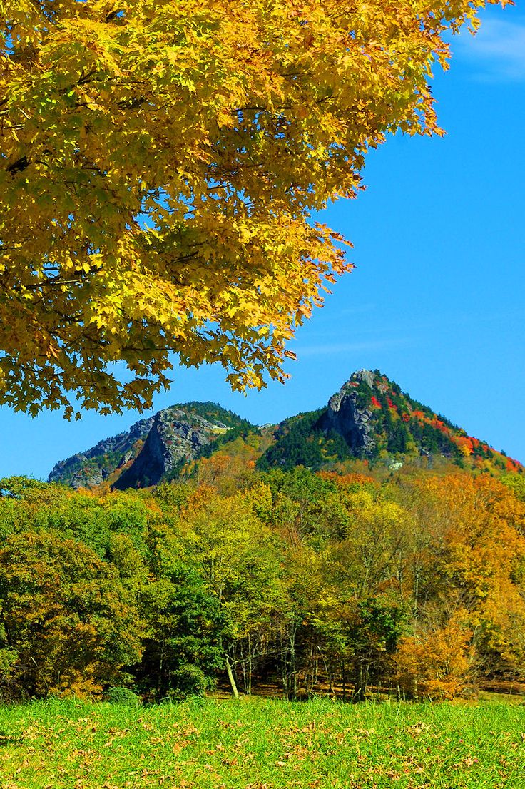 AutoTitlePros's tweet image. Here's a shot of Grandfather Mountain in #NC - #fallcolors